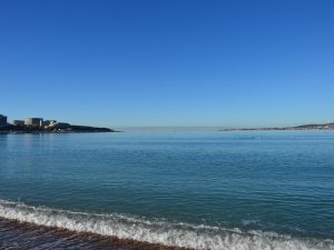 Из Могилева на автобусе: Геленджик, Анапа (9 ночей) + парк Галицкого