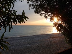 Абхазия из Могилева на автобусе, из Минска на поезде (10 ночей)