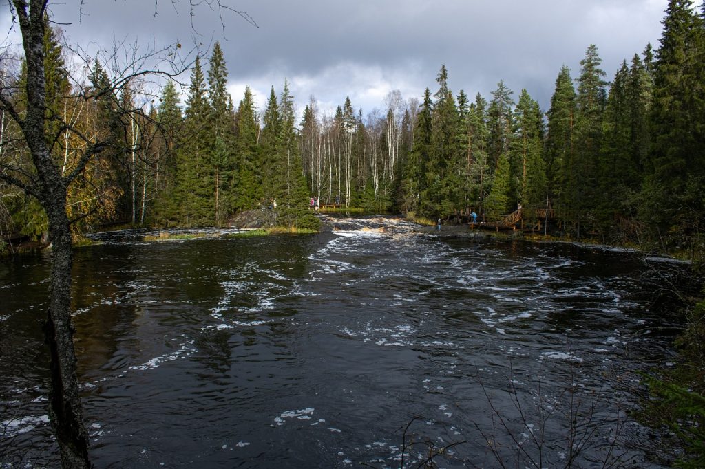 Из Могилева на автобусе Санкт-Петербург + Карелия