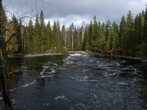 Из Могилева на автобусе Санкт-Петербург + Карелия
