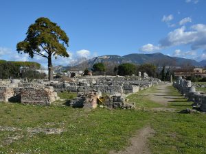 Автобусный тур в Италию + отдых в Пестуме