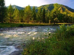 Путешествие по Алтаю: всё включено (3 программы)