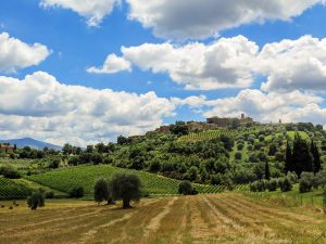 Тоскана и Умбрия + отдых на термальном курорте Кьянчано Терме