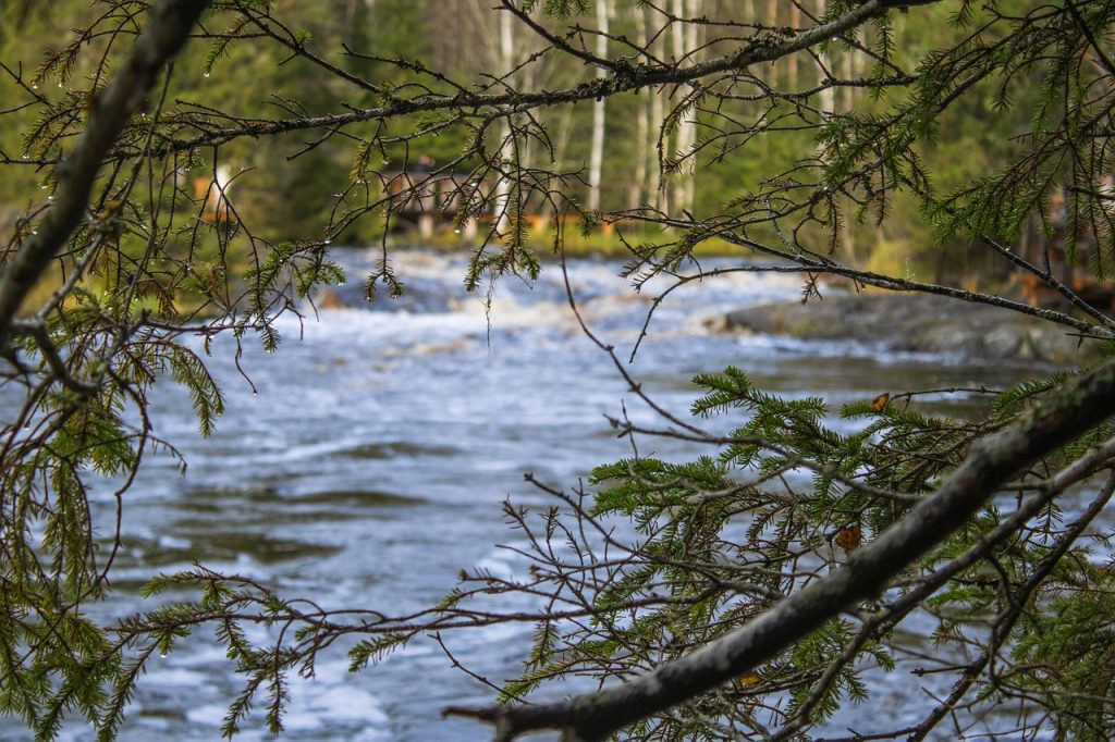 Из Могилева на поезде: Санкт-Петербург + Рускеала на 3, 4 и 5 дней