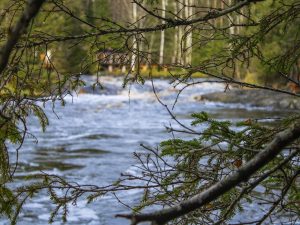 Из Могилева на поезде: Санкт-Петербург + Рускеала на 3, 4 и 5 дней