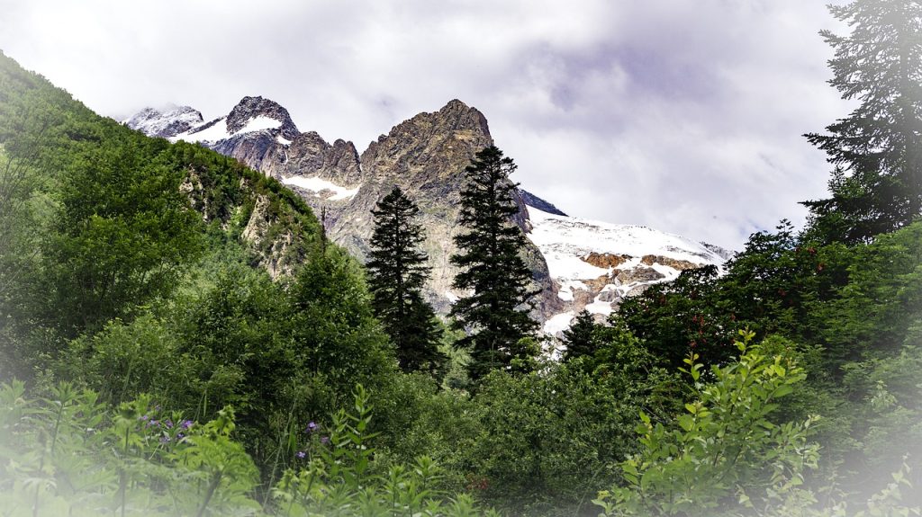 Автобусный тур: Отпуск в горах Домбая