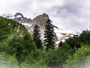 Автобусный тур: Отпуск в горах Домбая
