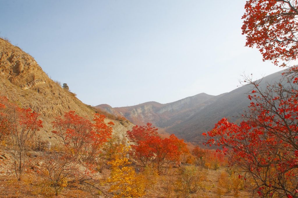 Автобусный тур из Могилева: Астрахань + Дагестан