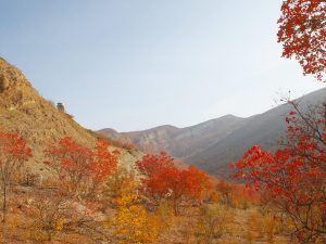 Автобусный тур из Могилева: Астрахань + Дагестан